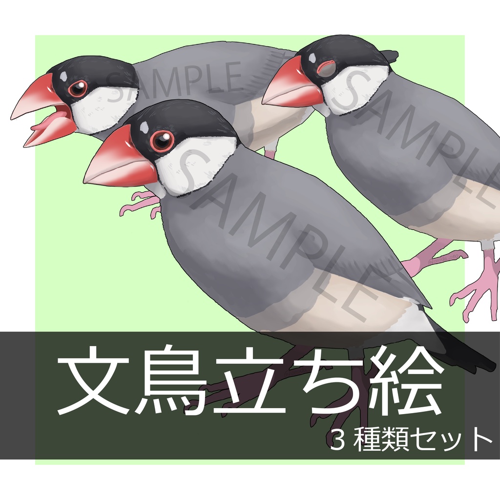 文鳥の立ち絵　3種類セット