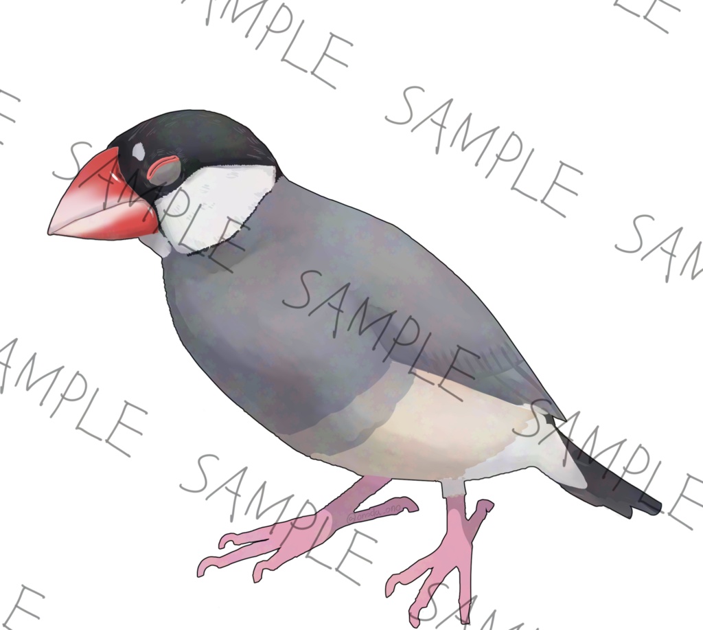 文鳥の立ち絵 3種類セット