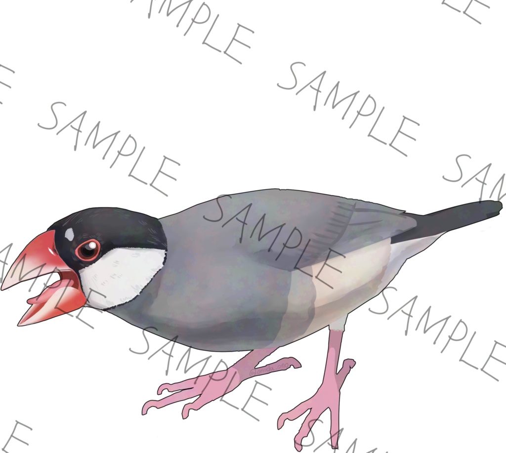 文鳥の立ち絵 3種類セット