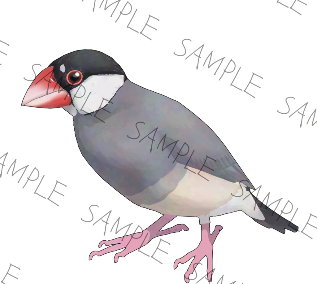 文鳥の立ち絵 3種類セット