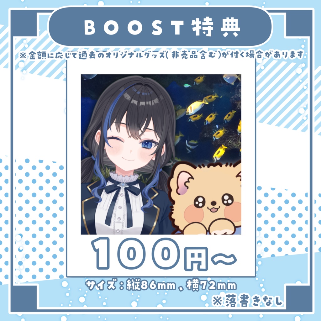 【10/15まで受注販売】新モデルお披露目記念グッズ