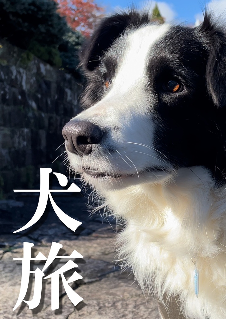 犬旅(ハルたび)