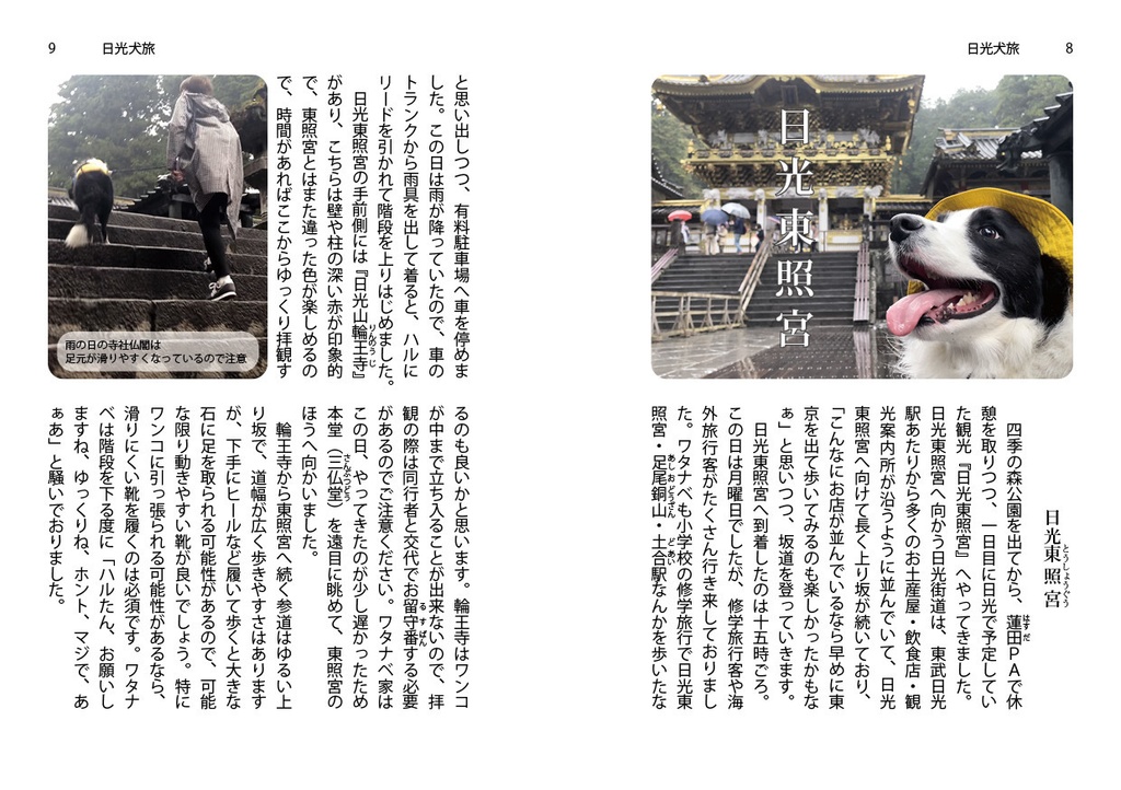 犬旅(ハルたび)