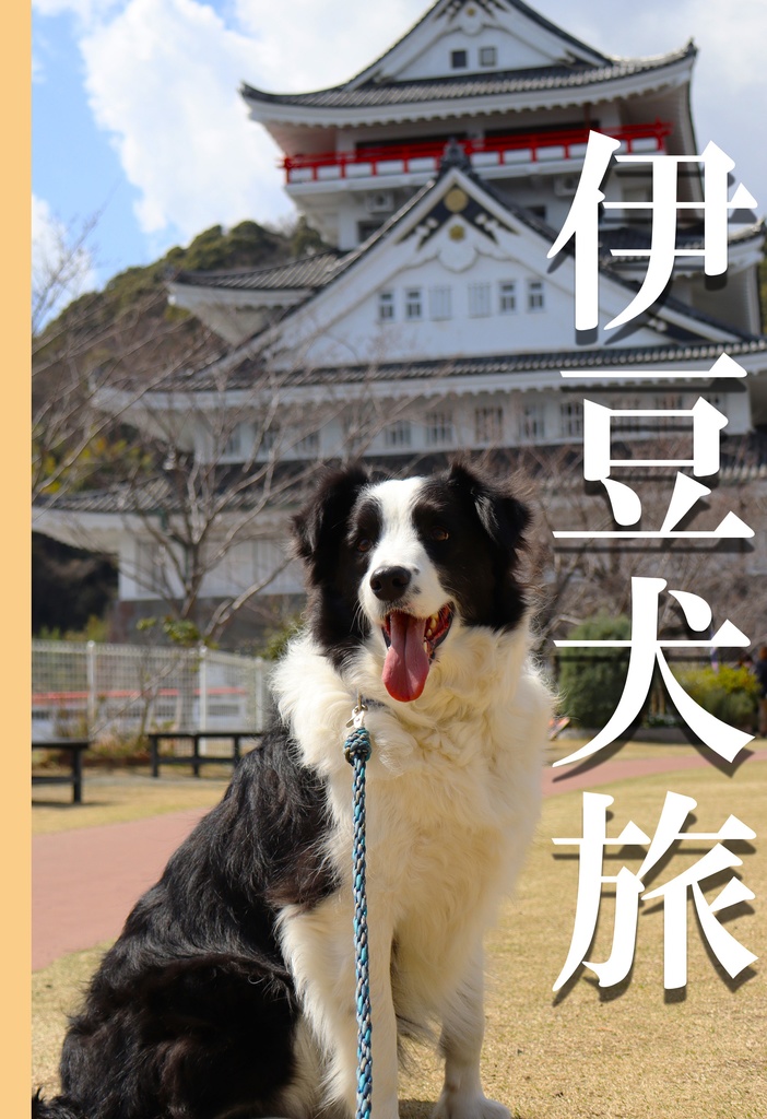 伊豆犬旅