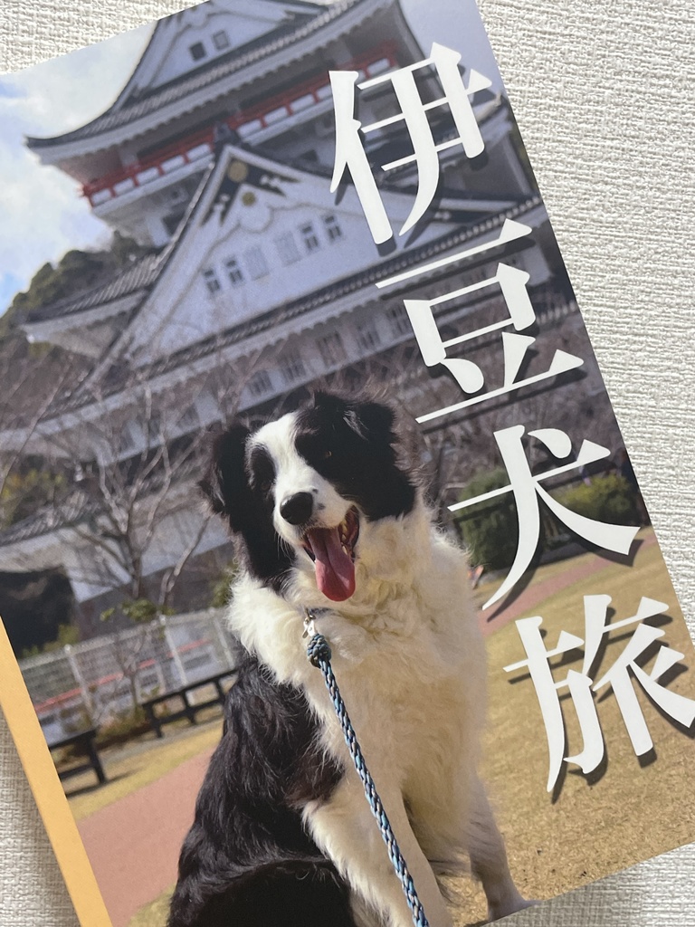 伊豆犬旅