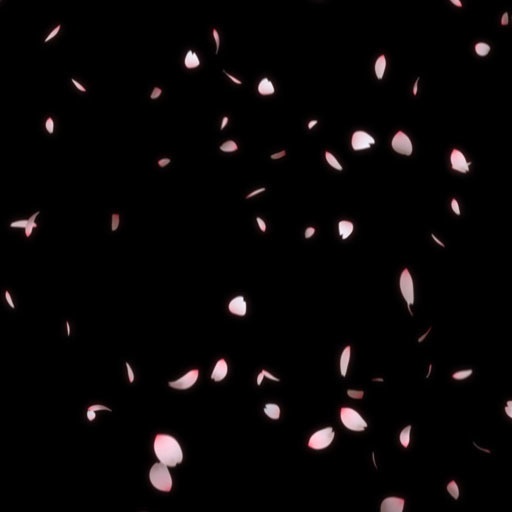 素材屋 蛇藤 無料映像素材 桜 桜吹雪 桜の花びらが降り注ぐ 素材屋 蛇藤 Sozaiya Jafuji Booth