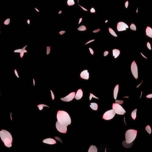 【素材屋 蛇藤】無料映像素材│桜・桜吹雪・桜の花びらが降り注ぐ（大粒）