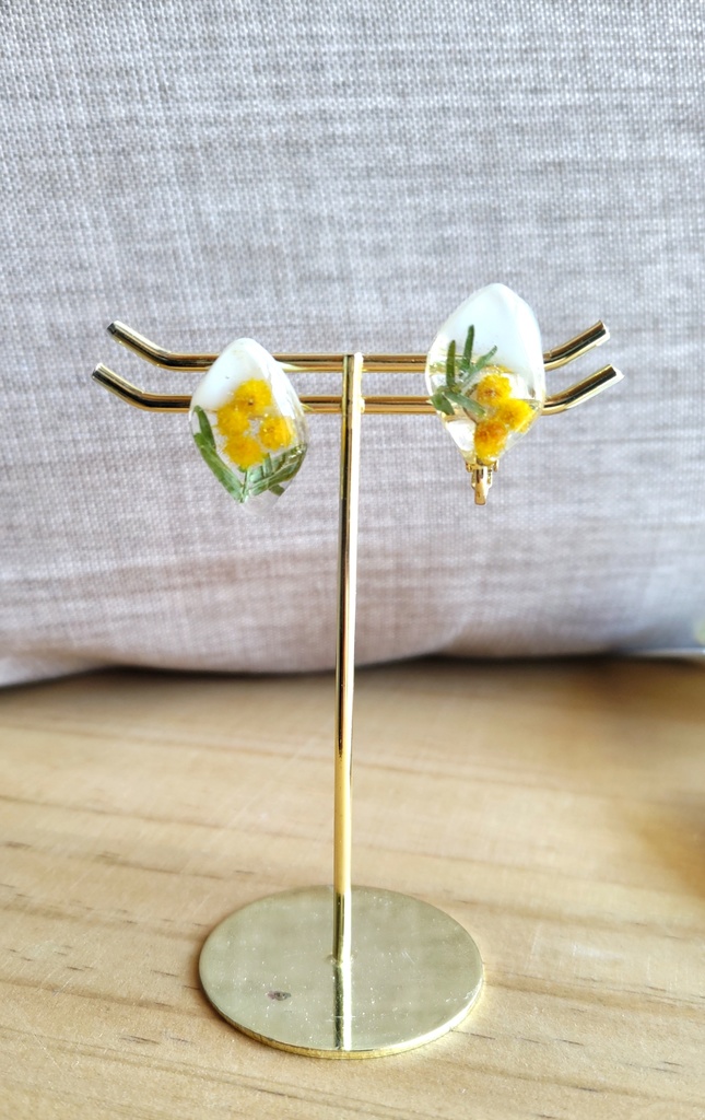 黄色と緑色のミモザ