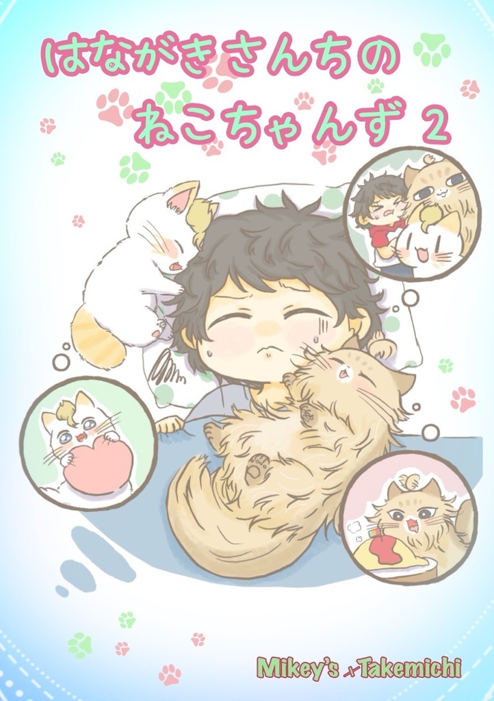 はながきさんちのねこちゃんず2