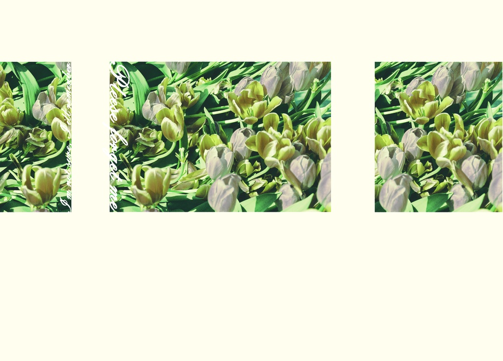 表紙画像003