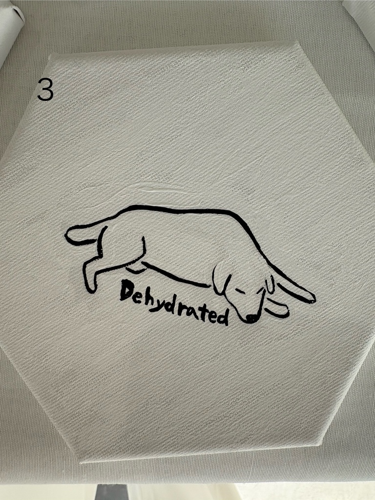 イラスト 原画(六角形 直径15cm)