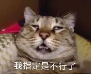 仮面ライダービルド 満瓶フィギュア 1.0