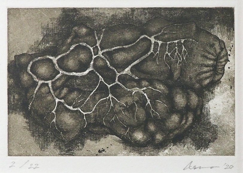 The Demon's Viscera 4