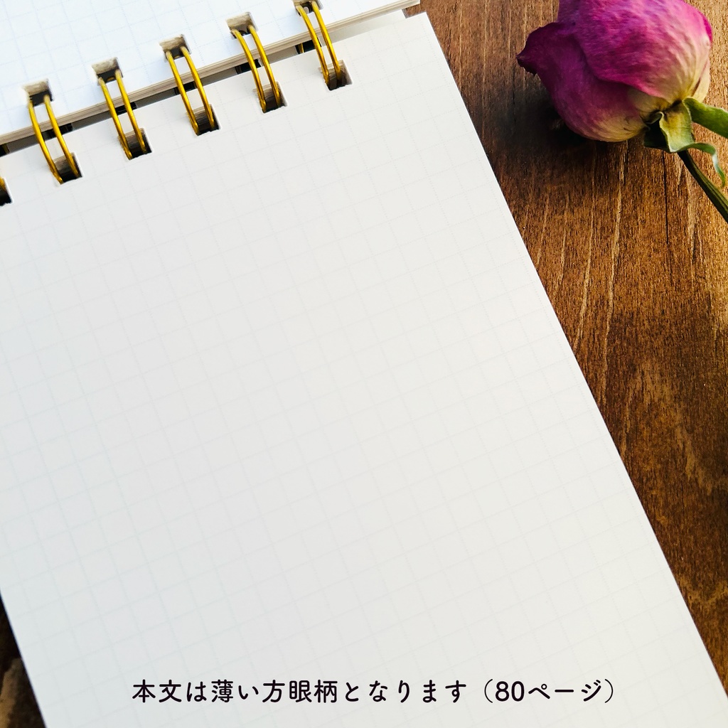 【A6手製リングノート】ネコちゃんのおでかけ