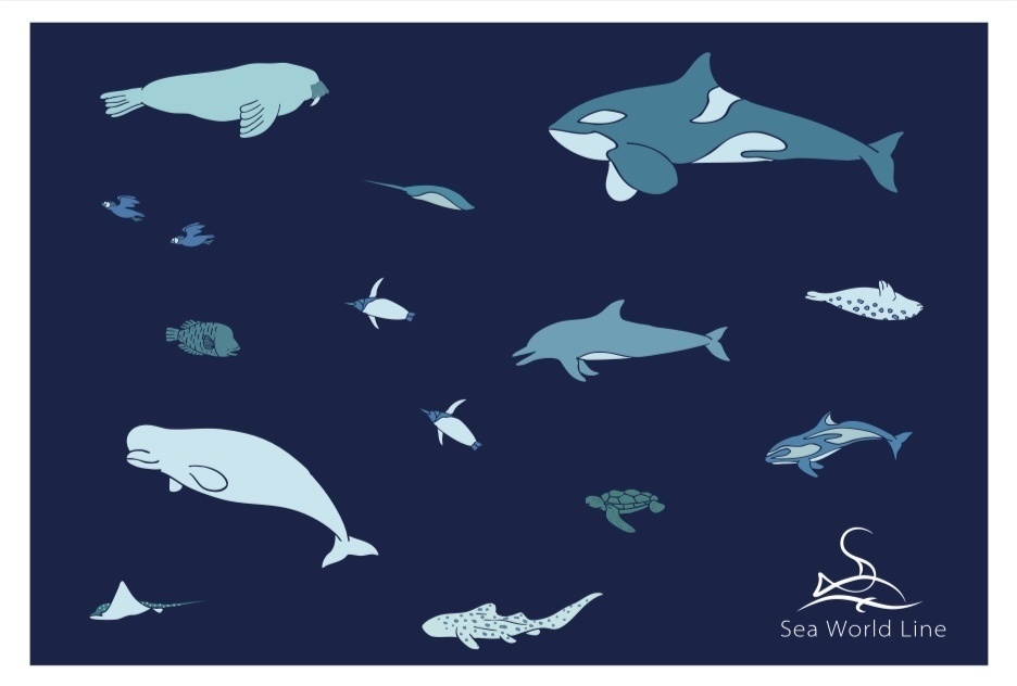 Sea World Line ポストカード③