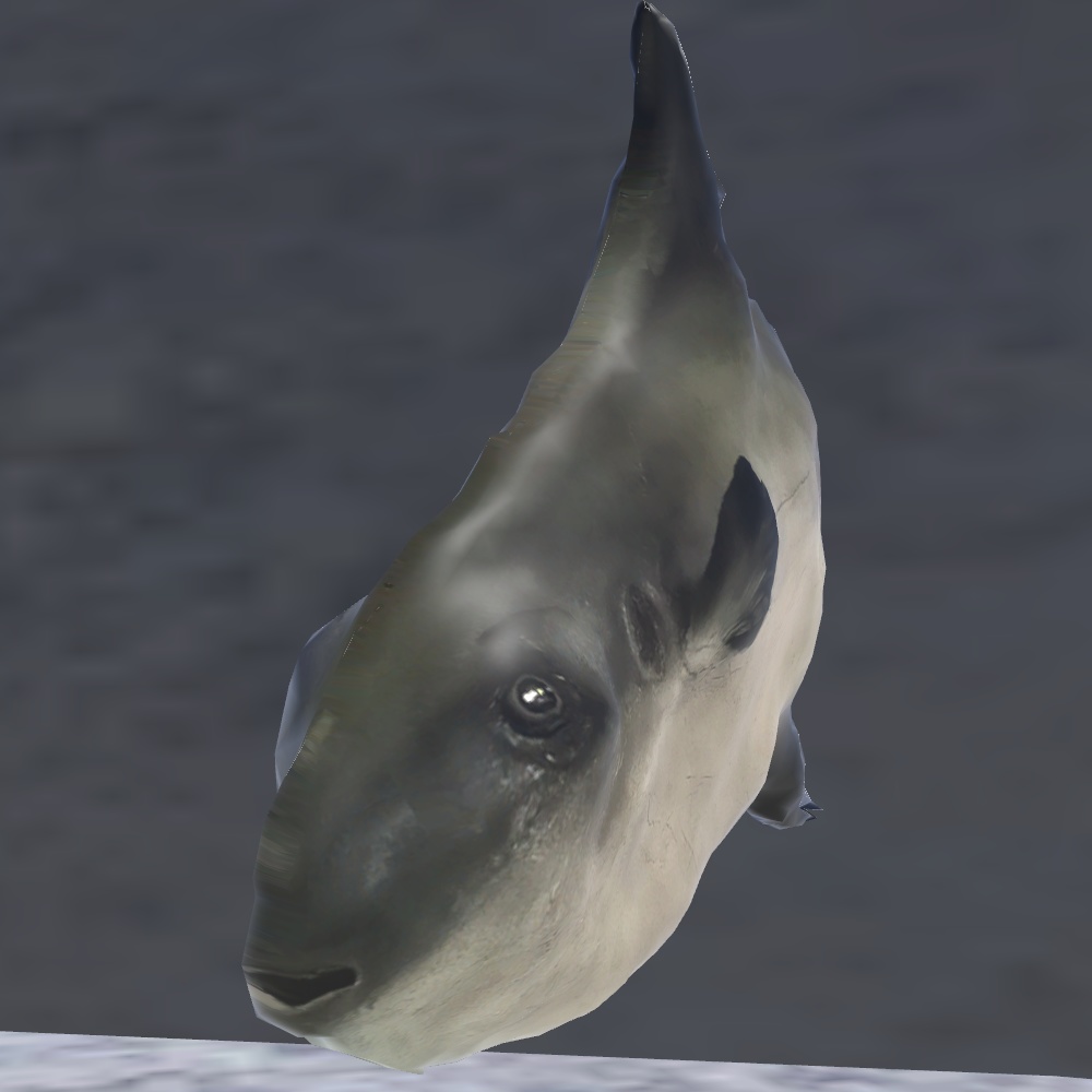 マンボウ【VRChat想定】