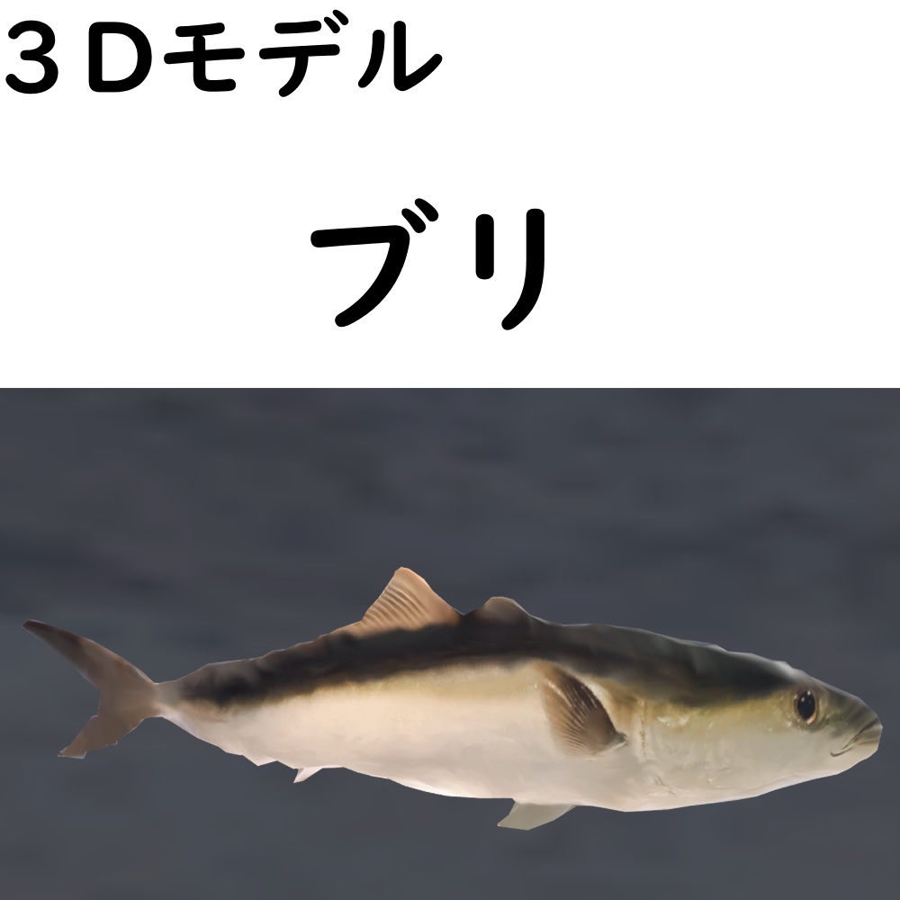 ブリ【VRChat想定】