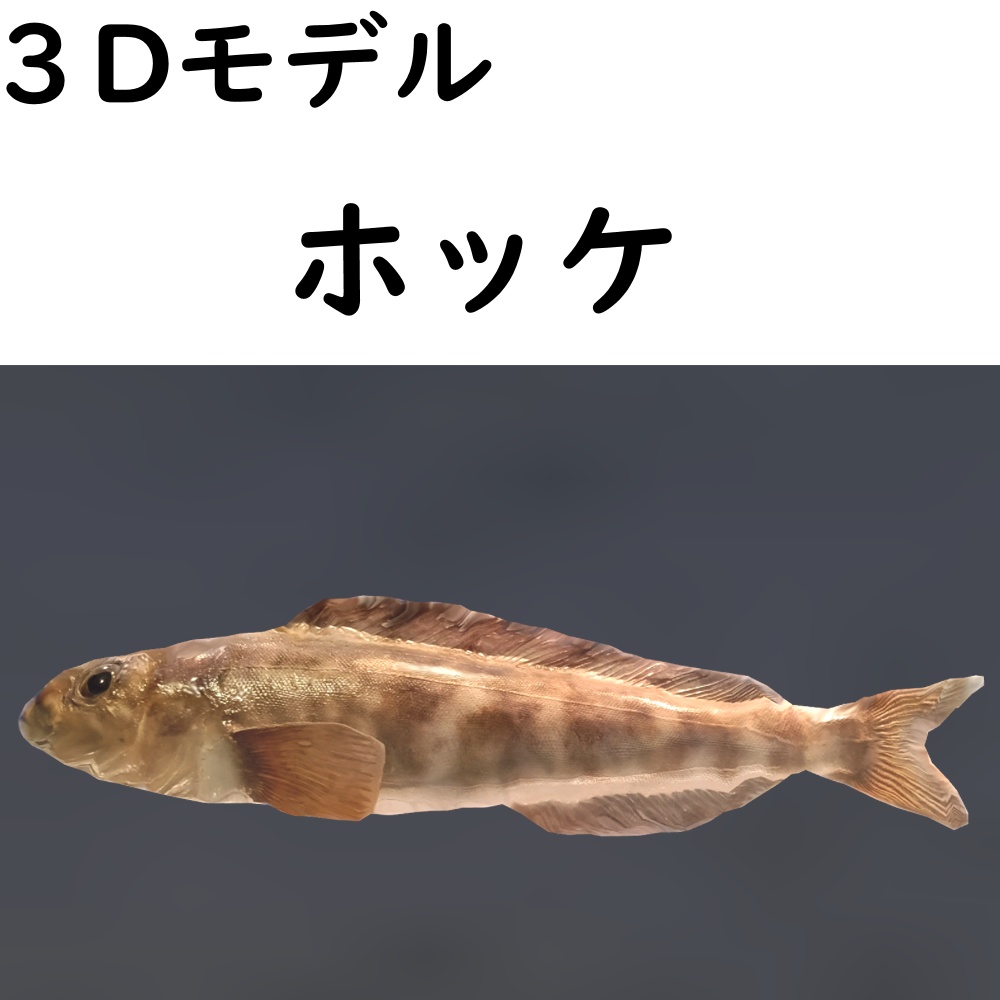 【48時間限定無料】ホッケ【VRChat想定】