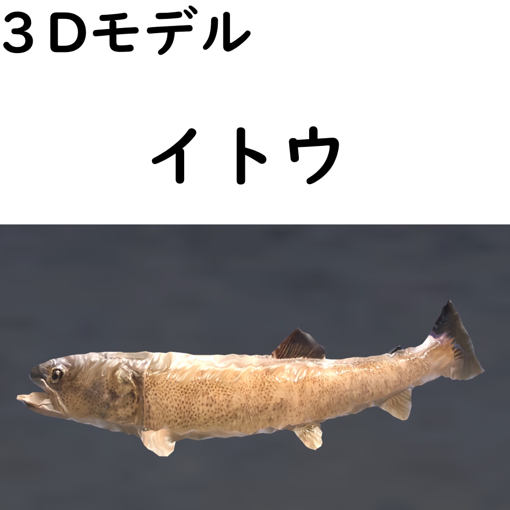 【48時間限定無料】イトウ【VRChat想定】