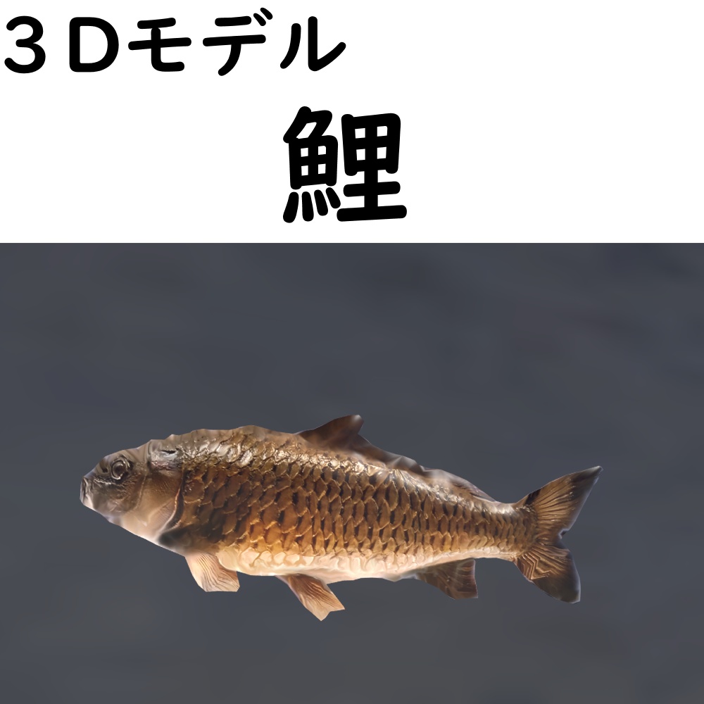 【48時間限定無料】鯉【VRChat想定】