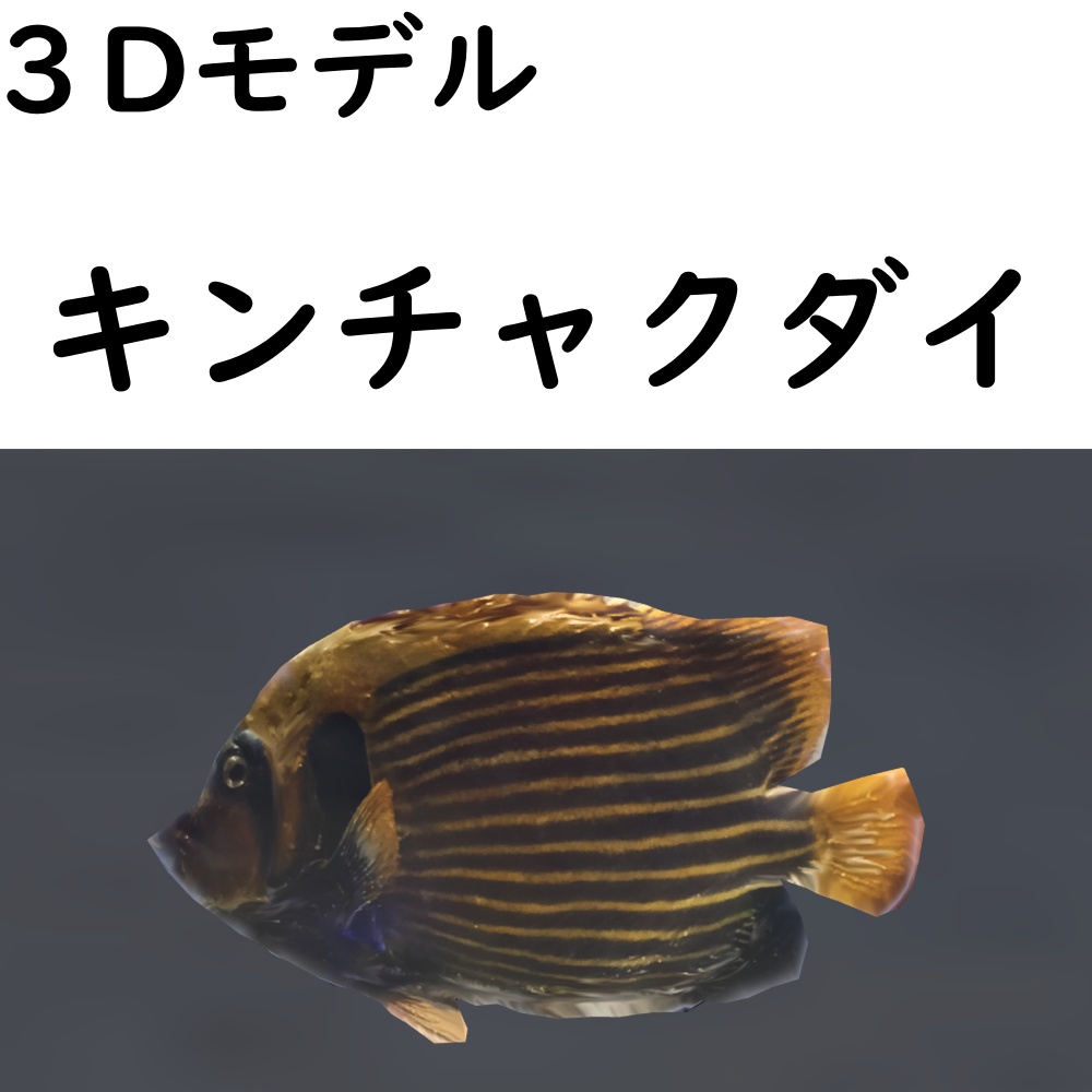 【48時間限定無料】キンチャクダイ【VRChat想定】