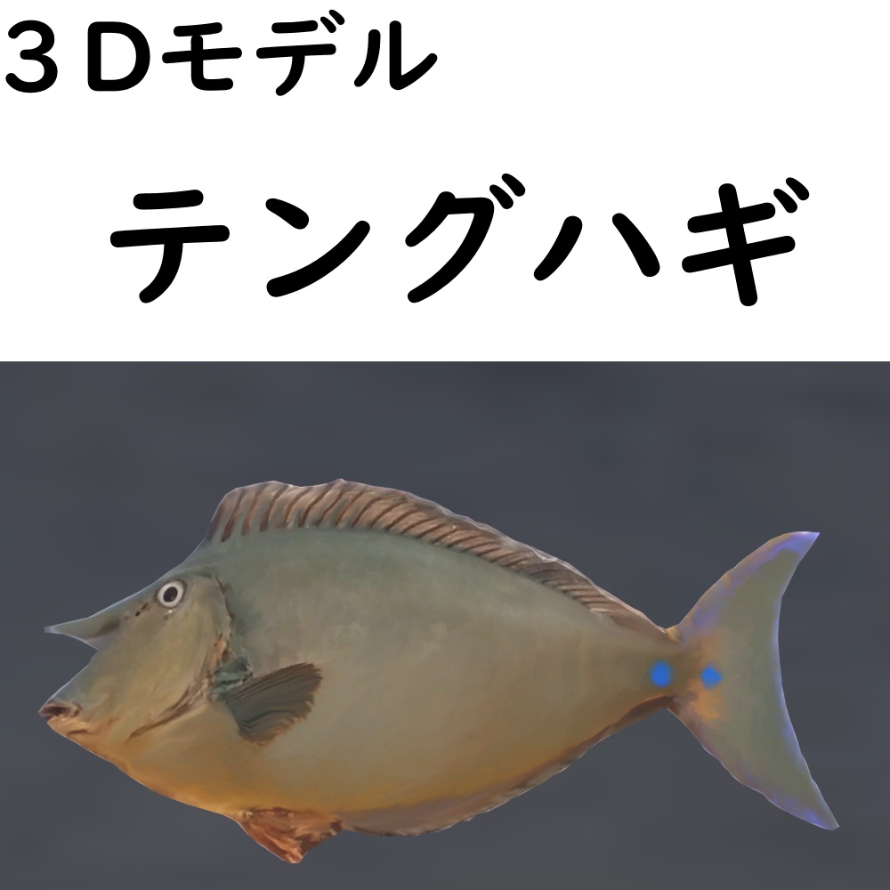 【48時間限定無料】テングハギ【VRChat想定】