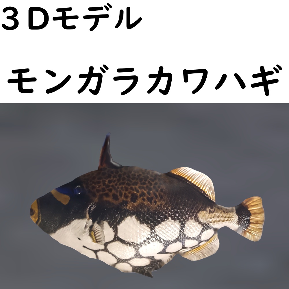 【48時間限定無料】モンガラカワハギ【VRChat想定】