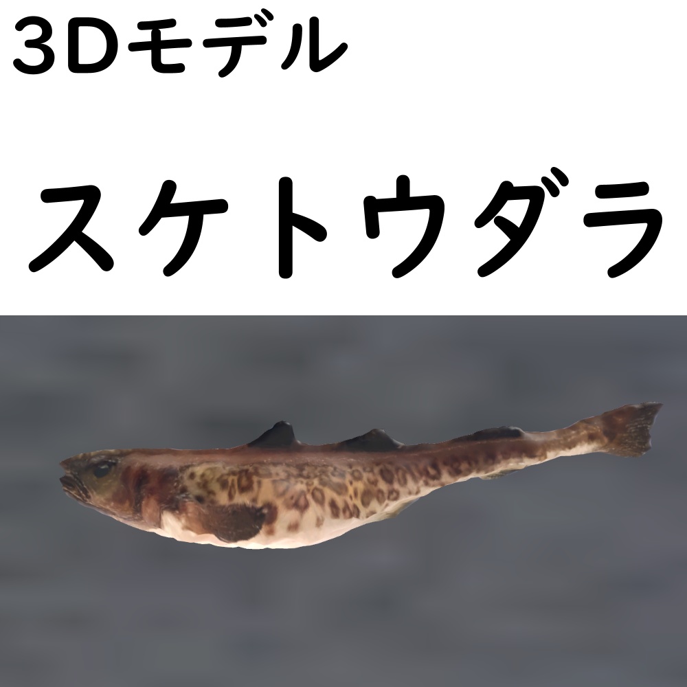 【48時間限定無料】スケトウダラ【VRChat想定】