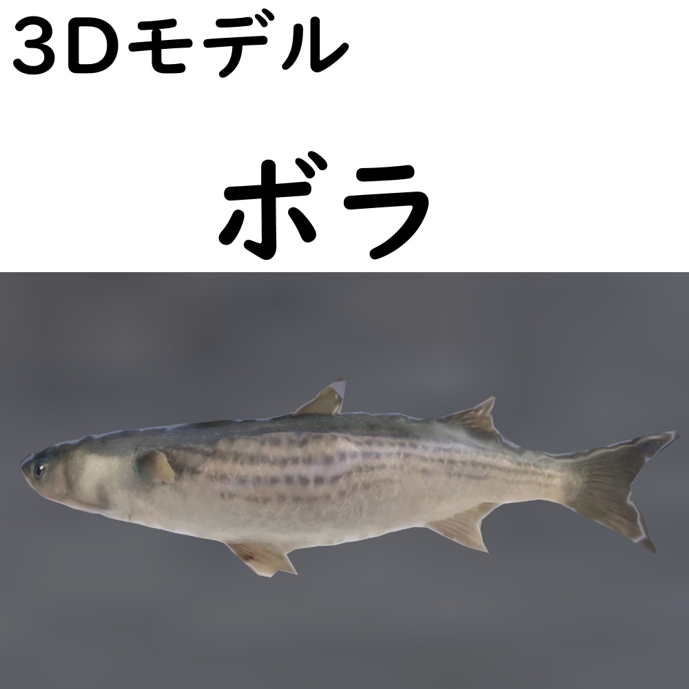 ボラ【VRChat想定】