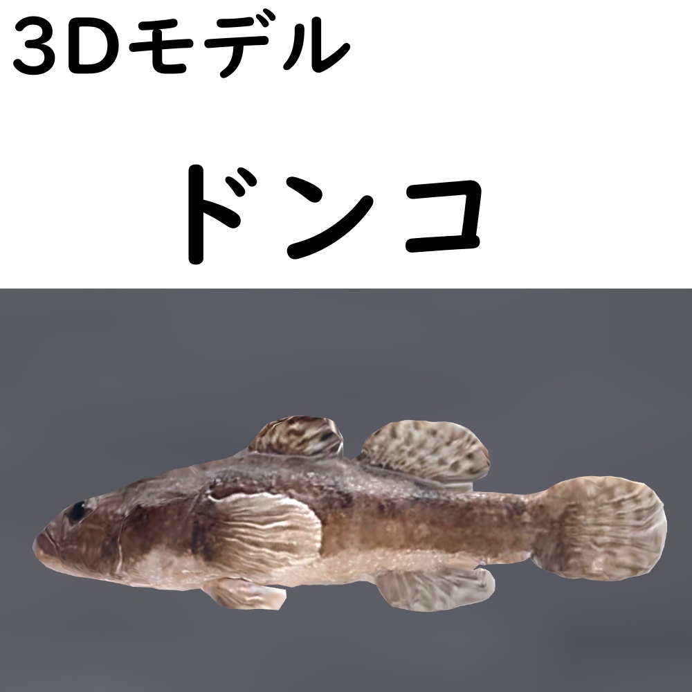 【48時間限定無料】ドンコ【VRChat想定】
