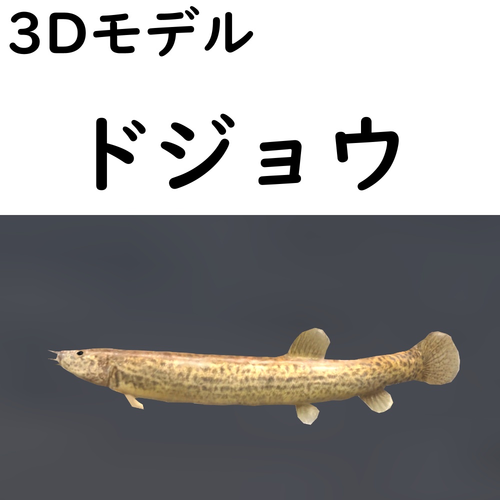 ドジョウ【VRChat想定】