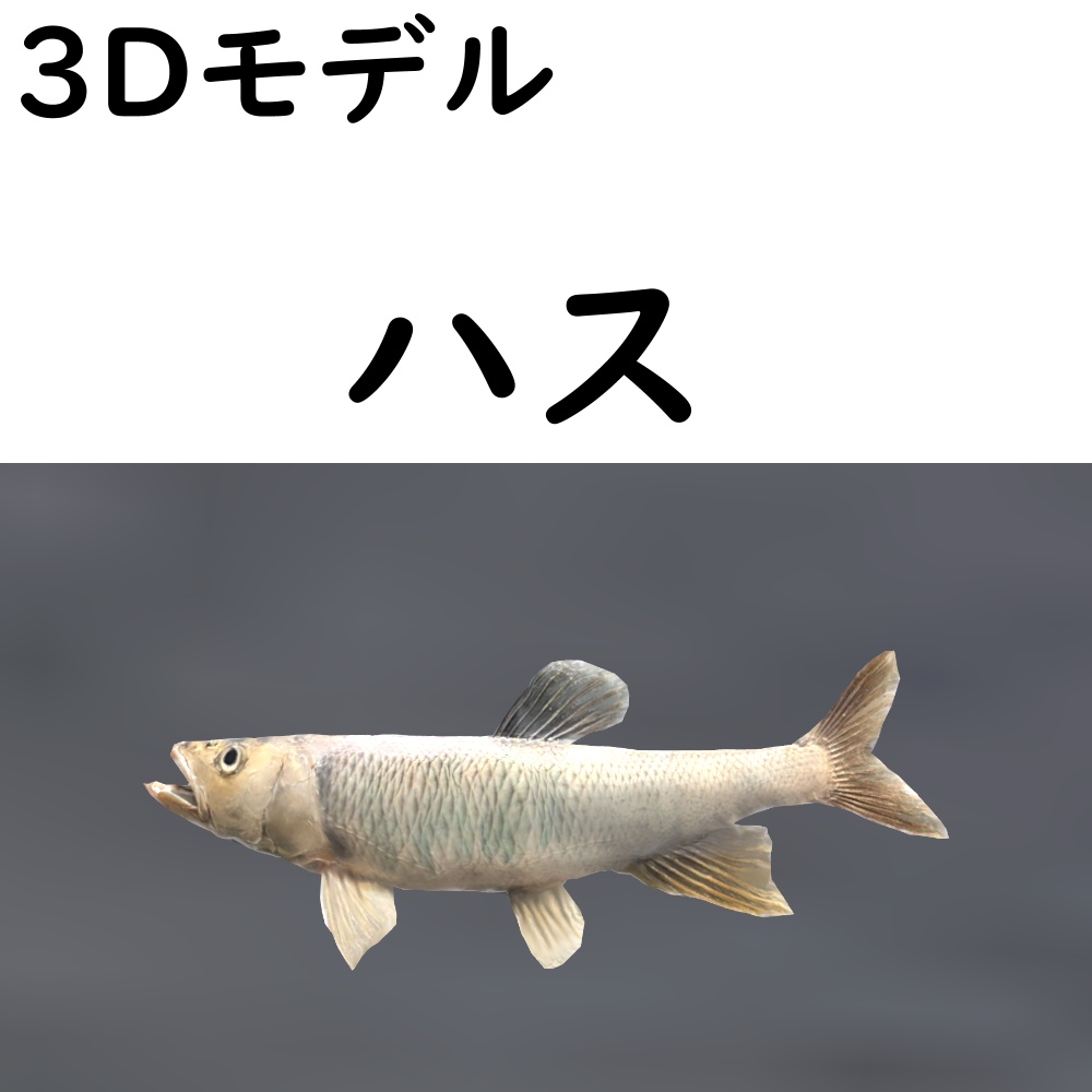 【48時間限定無料】ハス【VRChat想定】