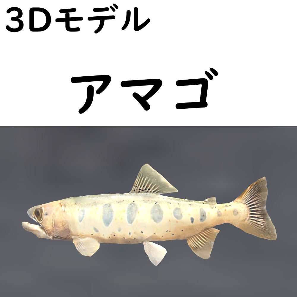 【48時間限定無料】アマゴ【VRChat想定】