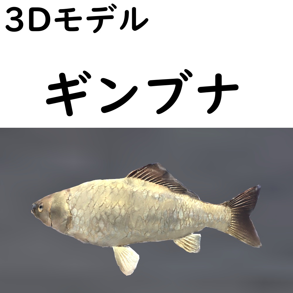 【48時間限定無料】ギンブナ【VRChat想定】