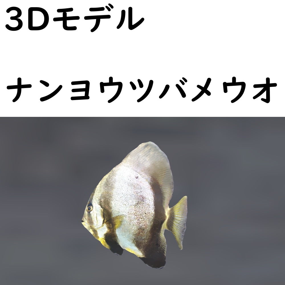 【48時間限定無料】ナンヨウツバメウオ【VRChat想定】