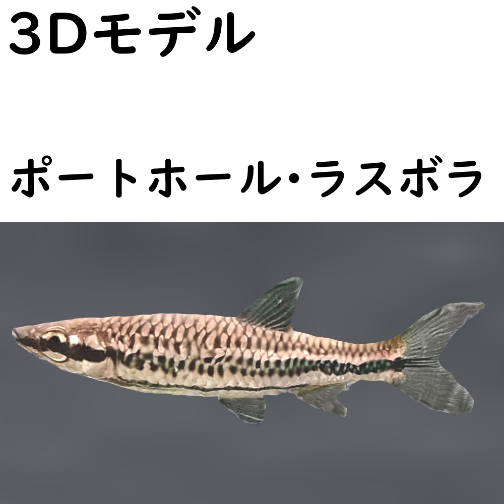 【48時間限定無料】ポートホール・ラスボラ【VRChat想定】