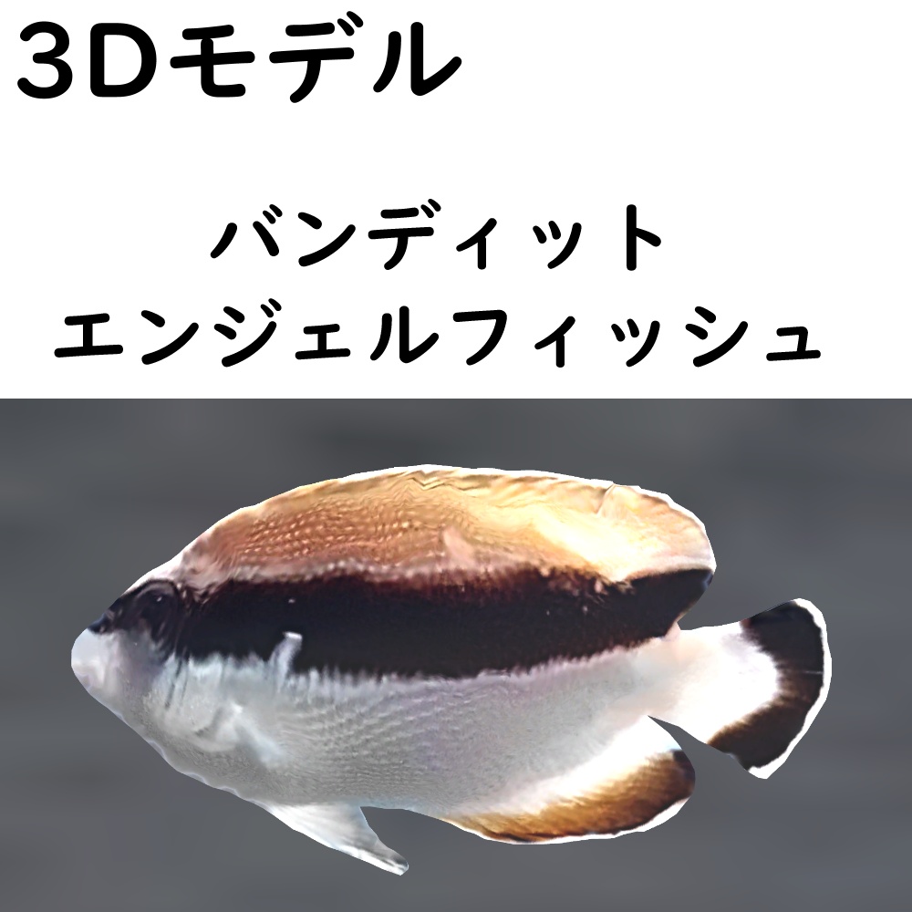 バンディットエンジェルフィッシュ【VRChat想定】