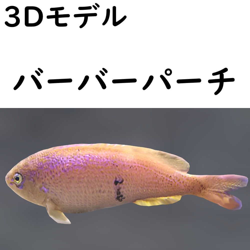 バーバーパーチ【VRChat想定】