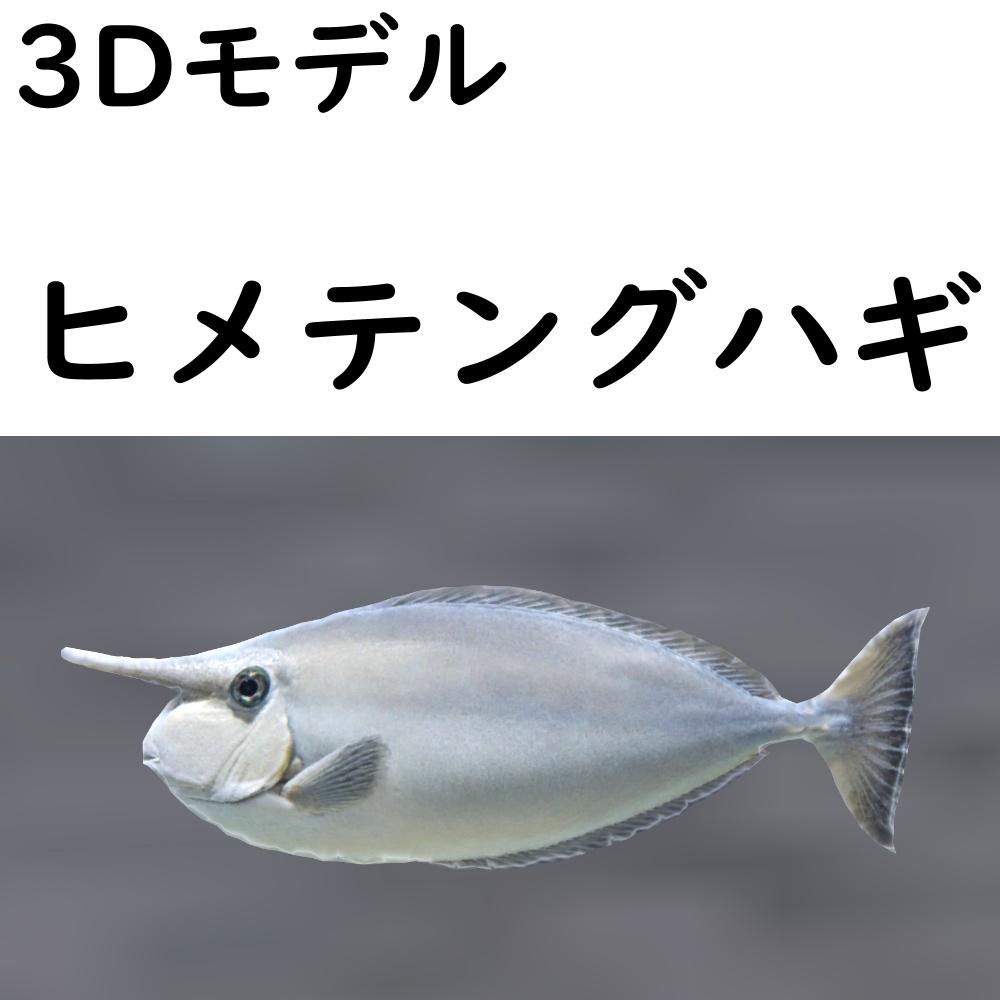 【48時間限定無料】ヒメテングハギ【VRChat想定】