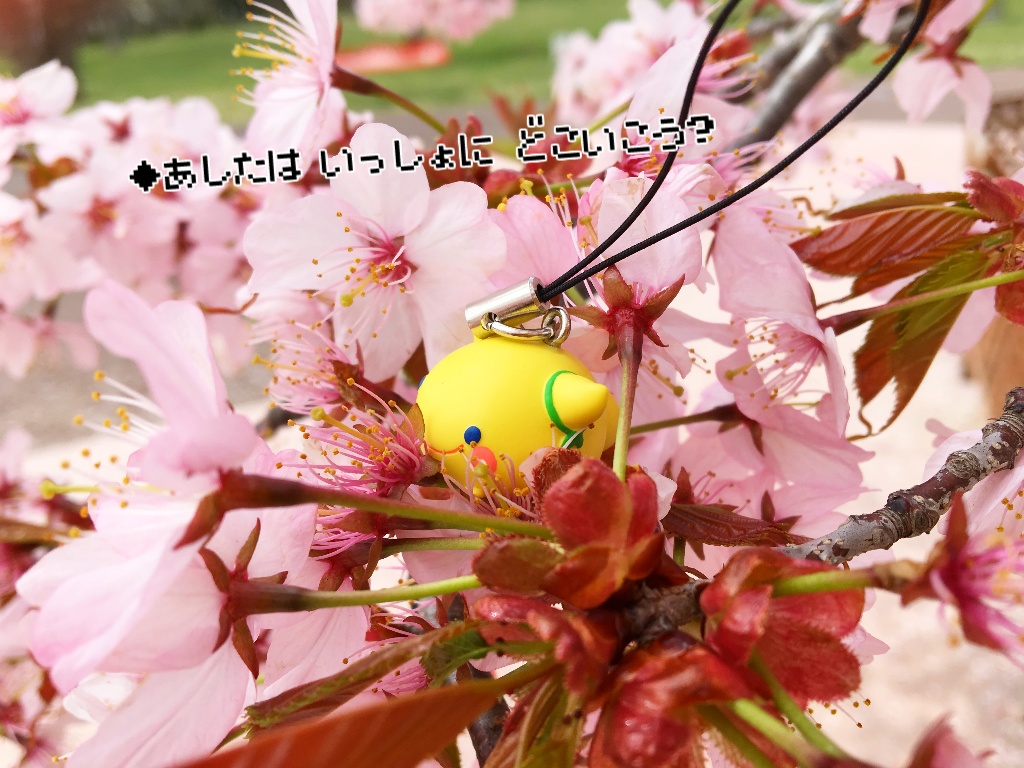 ミオソティスの花束 きいろいあのこのフィギュアストラップ