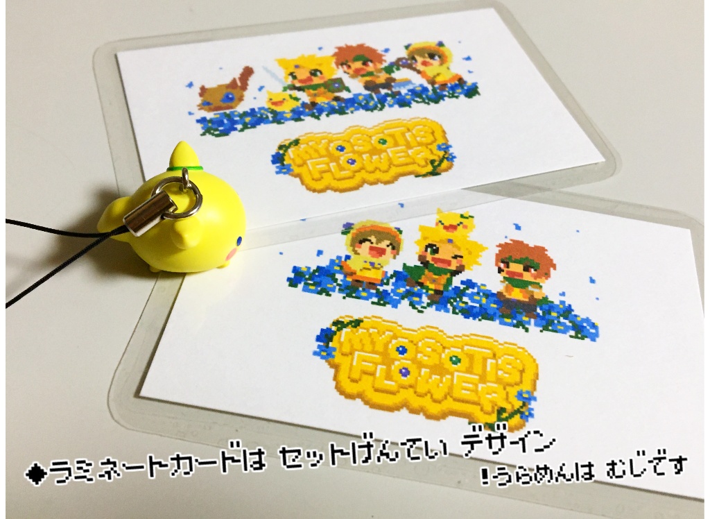 ミオソティスの花束 全部盛りセット