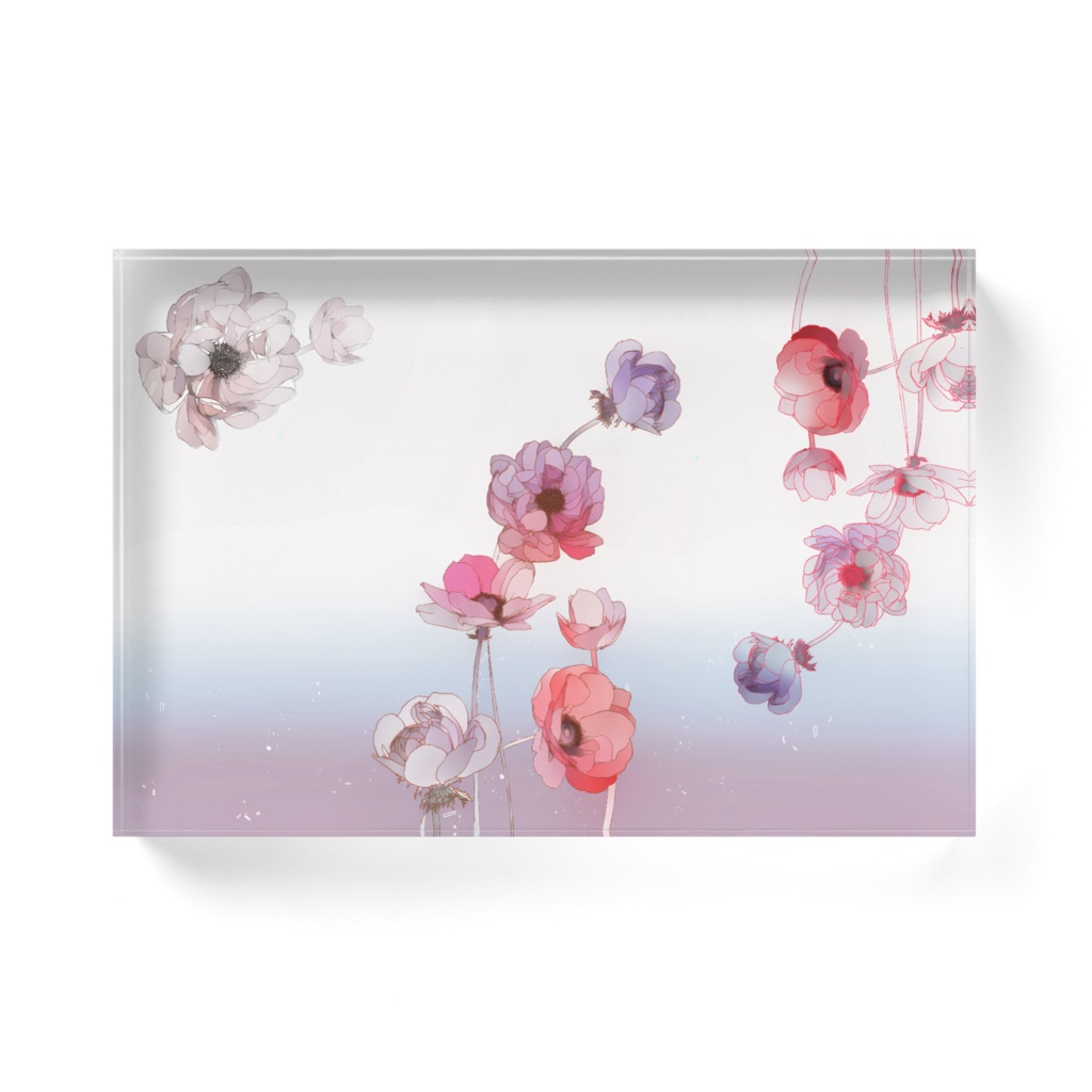 Anemone アクリルブロック