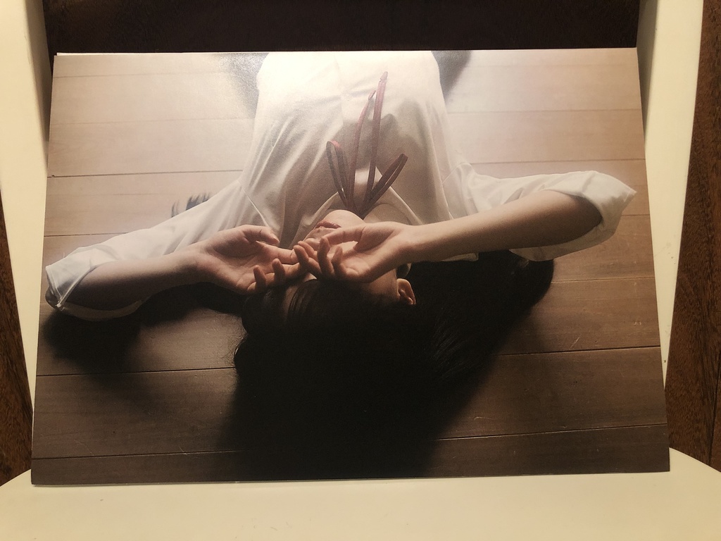 パネル写真