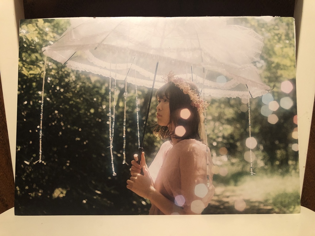 パネル写真