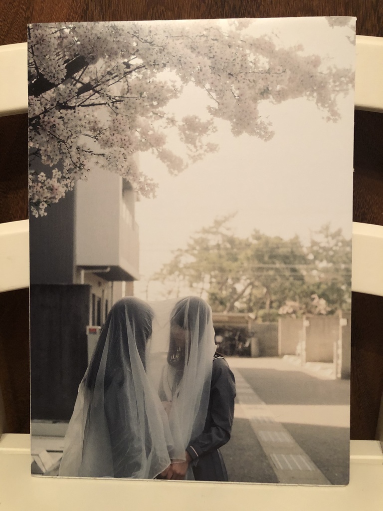 パネル写真