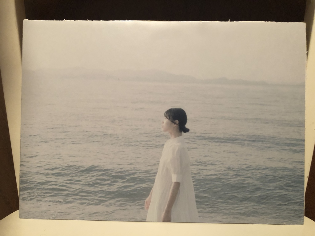 パネル写真