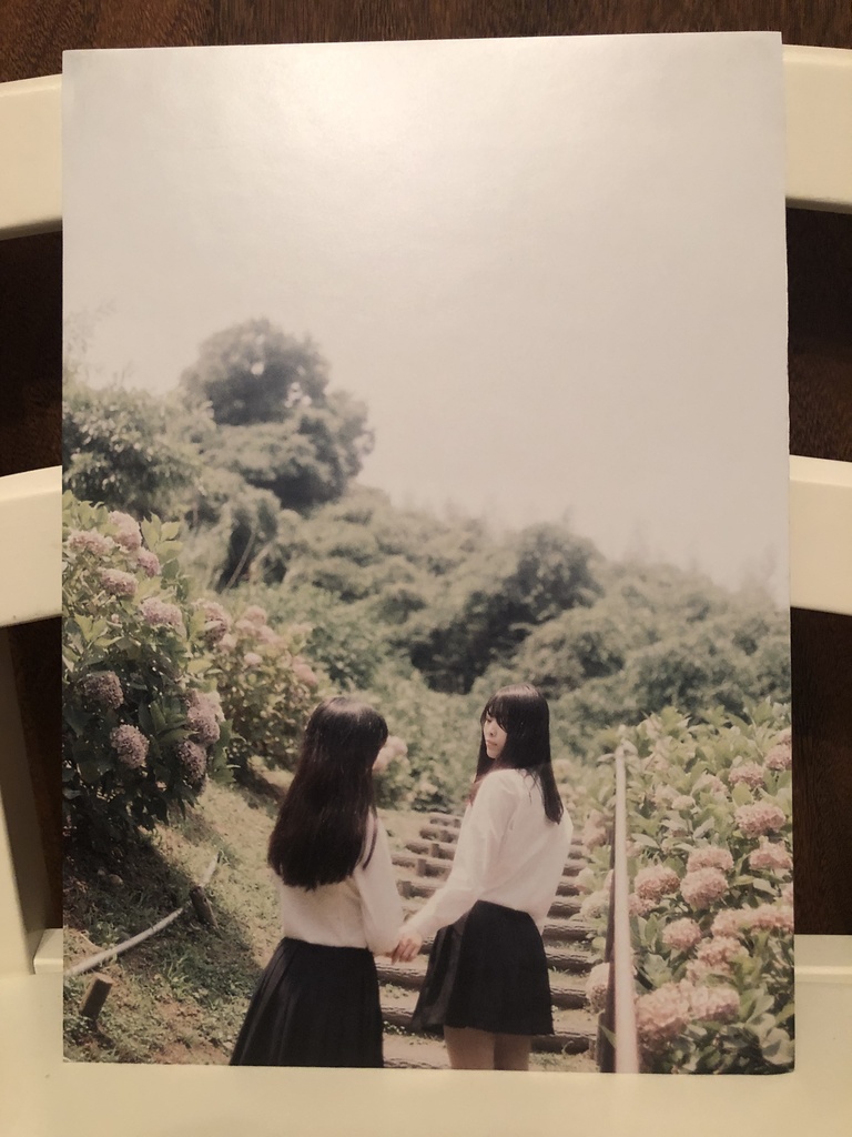 パネル写真