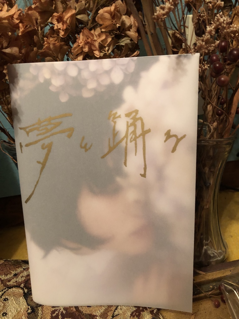 「夢と踊る」写真集