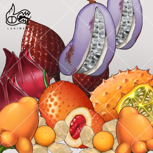 免費/無料素材27