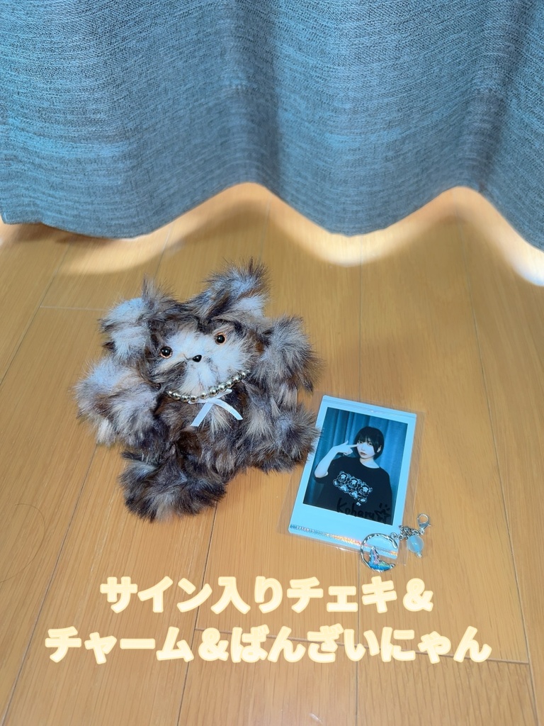 サイン入りチェキ＆こはる作☆グッズセット